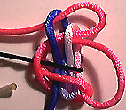step 6