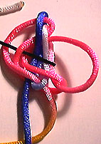 step 7