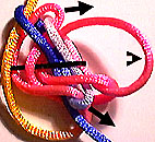 step 8
