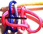 step 5