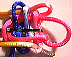 step 6