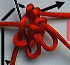 step 5