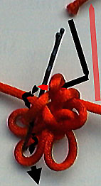 step 6