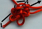 step 7