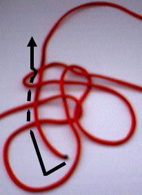 step 4