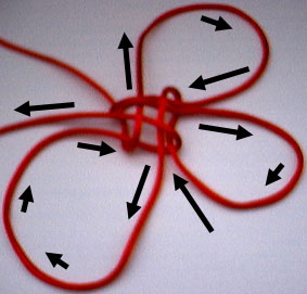 step 6b