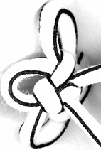 stem view of button style 4 eared flower knot