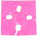 template for the square
	good luck knot