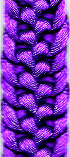 6 strand phoenix tail