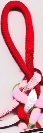 step 5