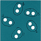 template step 3